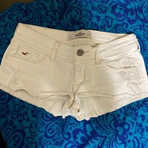Hollitser Shorts